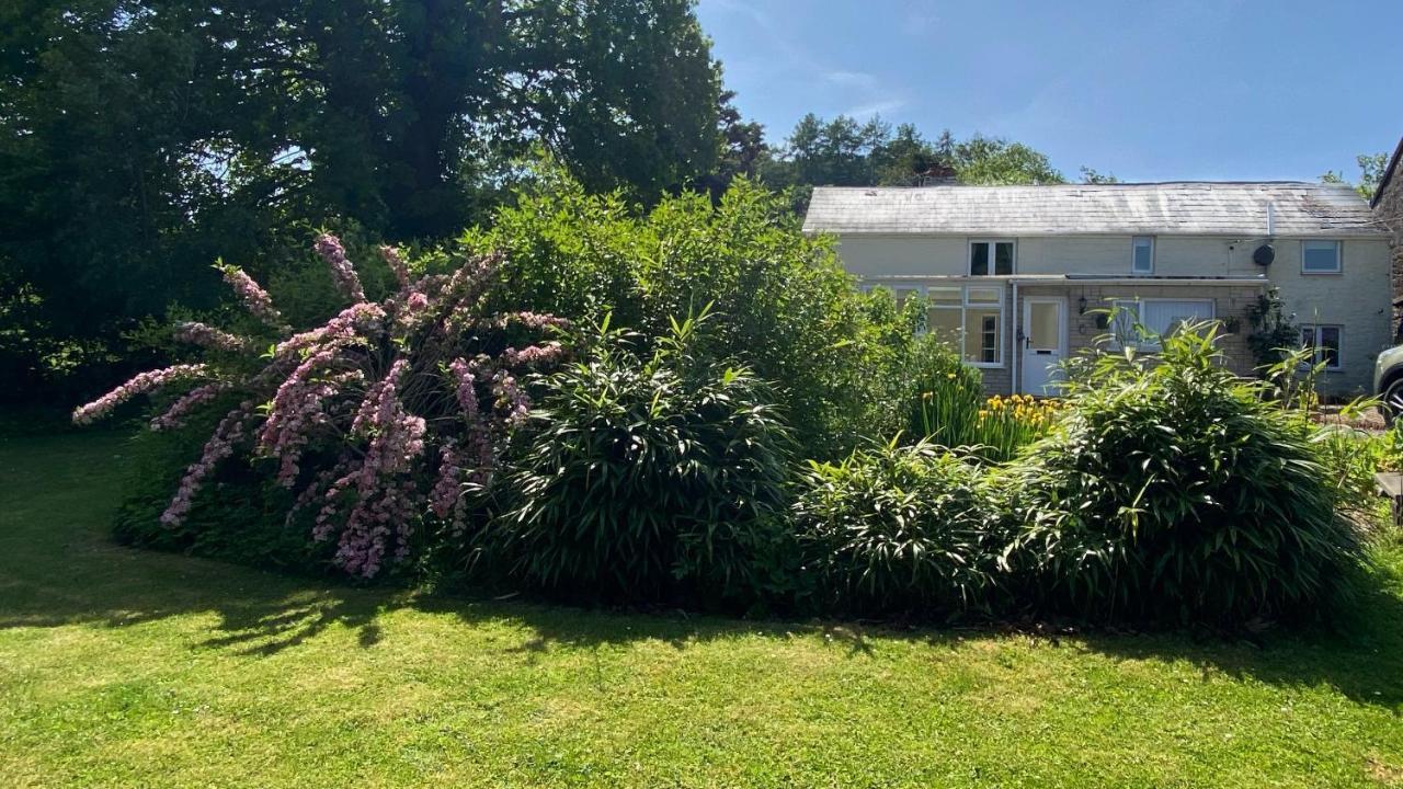 Silhouette Cottage كول فورد المظهر الخارجي الصورة